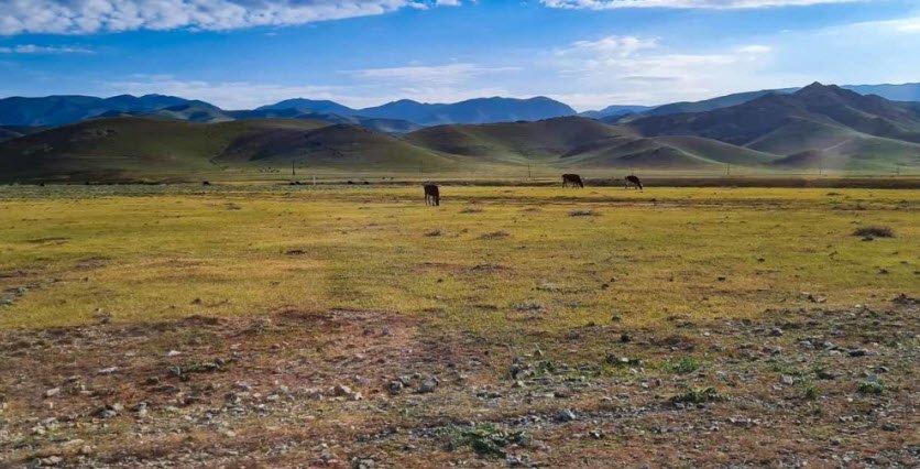 Nurata Mountains, Nurata, Navoi Region, Uzbekistan